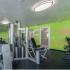 Belleza, interior, fitness center, green walls, weight machines, large mirrors