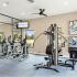 Beneva Place Apartments, interior, fitness center, large mirrors, elliptical, weight machine, ceiling fan