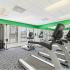 The Loop at Wedgewood exercise room:  large windows, mirrored wall, treadmills, ellipticals, and weight lifting station