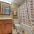 Standard Bathrooms | St. Louis Apartments | Del Coronado