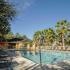 Sparkling pool with lounge chaises | Lymestone Ranch