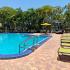 Swimming Pool | Apartment Homes in Palm Beach Gardens, FL | Trunbury at Pam Beach Gardens