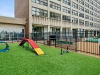 Dog Park with Agility Equipment | The Icon | Midtown St. Louis Student Apartments