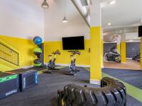 Exercise Bikes in On-site Fitness Center | Paloma Raleigh | 1-5 Bedroom Apartments in Raleigh