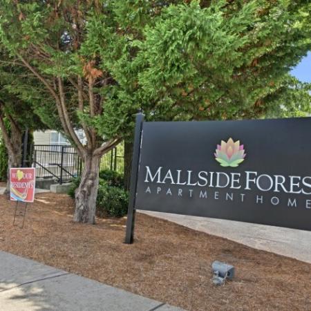 Apartments In Charlottesville VA | Mallside Forest