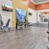 State of the art Fitness Center|  Apartments In Antioch TN | Cambridge at Hickory Hollow Apartments