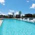 Resort Style Pool | The Mansions at Oak Point | Apartments In Little Elm