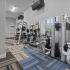 State-of-the-Art Fitness Center | The Mansions At Mercer Crossing | Apartments in Farmers Branch TX