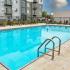 Pool & loungers, shade umbrellas Lake Shore | Ankeny Apartments