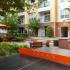 Outdoor Ping-pong Table | Houston Apartments Energy Corridor