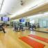 State-of-the-Art Fitness Center | Domain West | Luxury Apartments Houston