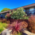 Beautifully Landscaped Property with Many different Trees and Plants Native to the Area