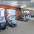 Well appointed upgraded fitness center