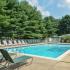 Outdoor swimming pool with lounge chairs and umbrellas at Allandale Village apartments for rent
