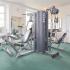 Green carpeted fitness center with strength training equipment