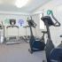 Fitness center with cardio machines at Cedar Tree Village apartments for rent