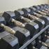 Community fitness center with dumbbells at Norwood House Apartments in Downingtown, PA.
