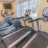 Treadmills and elliptical machines in the fitness center at Rosetree Crossing Apartments in Media, PA.