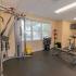 Fitness center with treadmills, ellipticals, weight machines and dumbbells at Rosetree Crossing Apartments in Media, PA.