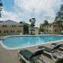 Community swimming pool and sun deck at Paoli Place Apartments in Paoli, PA.