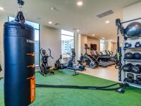 Fitness Room w/ HIIT Equipment