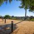 Expansive Grounds | Sunterra | Apartments in Oceanside CA