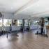 Exercise Equipment in Fitness Center | Sunterra | Apartments for Rent in Oceanside CA