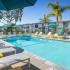 Swimming Pool | Sunterra | Oceanside CA Apartments for Rent