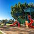 Community Children's Playground | Sunterra | Oceanside CA Apartments for Rent