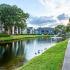 Water with ducks, and sidewalk along the edge - building across the water Bay Crossing | Tampa Apartments