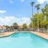 Pool at Argenta Apartments; 1 and 2 Bedroom Apartments Mesa, AZ