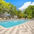 Sparkling Pool at Grove at Temple Terrace; Apartments In Temple Terrace
