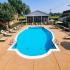 Pool and Sun Deck with Loungers at Tanglewood Apartments; Louisville, KY Apartments