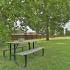 picnic area under a green tree at Woodgate Apartments in Springfield MO
