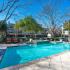 Resort Style Pool | Apartments in North Dallas, TX | The Premier at Prestonwood
