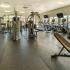 Exercise Equipment in Fitness Center | Northside Hills | Apartments Morgantown, West Virginia