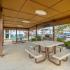 Picnic area under pavilion with gas grills | Campus Lodge | Student Apartments Columbia, MO