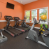 24 Hour Fitness Center | Apartment for rent Fort Myers FL | Park Crest at the Lakes