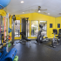 Fitness Center | Austin Apartments | Cricket Hollow Apartments