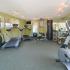 Fitness Center | Cardio Equipment | Weight Machine | Middleton Cove