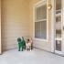 Doggy doors to allow easy access for your furry friend outside