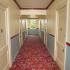 Red carpeted public hallway of the Morrowfield
