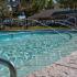Swimming Pool | Leesville Louisiana Apartments for Rent | Sycamore Point Apartment Homes