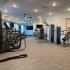 Work off stress in our gym with Fitness on Demand