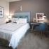 model bedroom Asheville Exchange Apartments, Asheville NC 28806