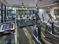 Fitness Center Machines | Apartments in Cumming, GA | Reserve at Summit Crossing