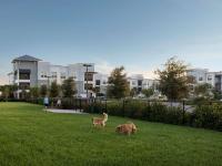 Community Bark Park | Apartment in Melbourne, FL | The Artisan at Viera