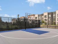 Basketball Court | Apartments in Jacksonville, FL | The Menlo