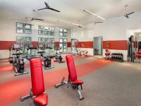 Expansive Gym | Apartments for rent in Tampa, FL | Crosstown Walk