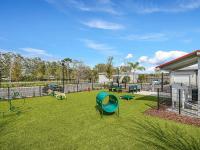 Resident Dog Park | Apartment Homes in Tampa, FL | Crosstown Walk